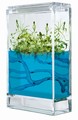 FOREST ANTQUARIUM