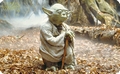 Frhstcksbrettchen - Star Wars - Master Yoda