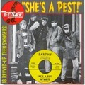 VARIOUS ARTISTS - SHE'S A PEST!