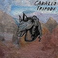 CABALLO TRIPODE - Totum Revolution