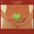 JOY UNLIMITED - Minne