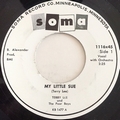 Terry Lee And The Poor Boys - My Little Sue