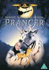 PRANCER (DVD)