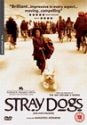 STRAY DOGS (DVD)