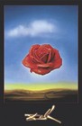 Rose Méditative