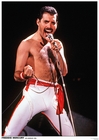 FREDDIE MERCURY - QUEEN POSTER