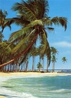 Fototapete - Südsee Strand und Meer
