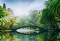 Fototapete Brcke im Park