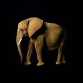 Fototapete Elefant Vlies - Elephant