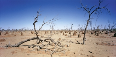 Fototapete Outback Vlies - Hinterland - Panorama - Klicken fr grssere Ansicht