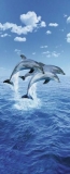 FOTOTAPETE - DELPHINE - THREE DOLPHINS