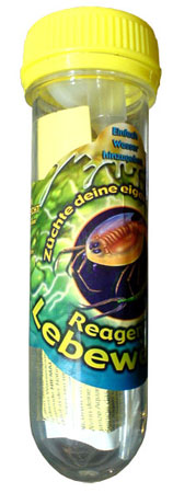 TRIOPS URZEITKREBSE IM REAGENZGLAS auf einer Olten Wunschliste / Geschenkidee