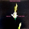 FLESH EATERS