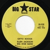 ELLEN JACKSON BIG STAR BAND