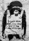 Banksy Poster Affe Laugh Now