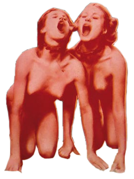Salo oder die 120 Tage von Sodom